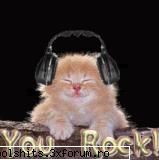 Melodii!!! - ce melodii propunetzi ...care sunt preferintele - MUZICA